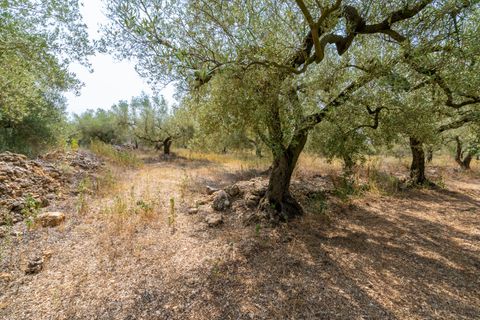 Finca i Ulldecona, Tarragona, Ulldecona - € 8.000 | Ref: 119 - foto 7