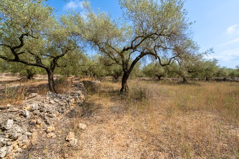 Finca i Ulldecona, Tarragona, Ulldecona - € 8.000 | Ref: 119 - foto 4