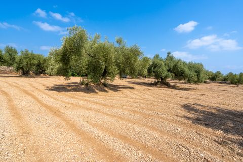 Finca i Ulldecona, Tarragona, Ulldecona - € 6.000 | Ref: 120 - foto 4