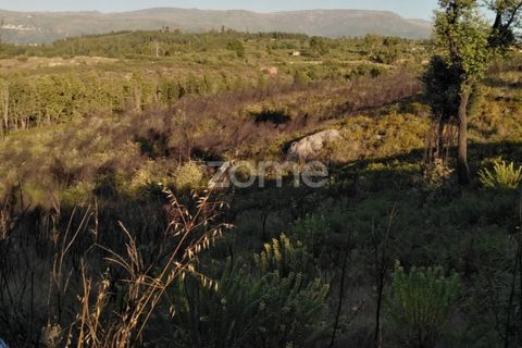 Helårsgrund i Sameice e Santa Eulalia, Guarda, Sameice e Santa Eulalia - € 30.000 | Ref: ZMPT559054 - foto 13