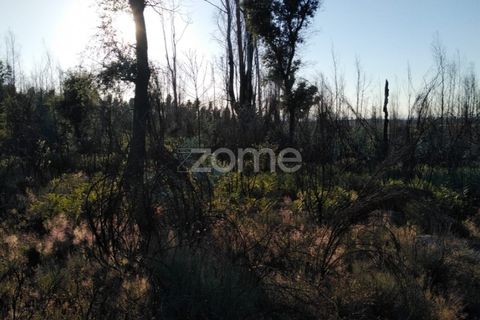 Helårsgrund i Sameice e Santa Eulalia, Guarda, Sameice e Santa Eulalia - € 30.000 | Ref: ZMPT559054 - foto 14