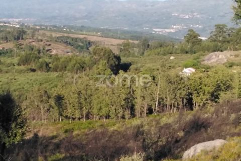 Helårsgrund i Sameice e Santa Eulalia, Guarda, Sameice e Santa Eulalia - € 30.000 | Ref: ZMPT559054 - foto 1