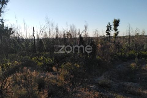 Helårsgrund i Sameice e Santa Eulalia, Guarda, Sameice e Santa Eulalia - € 30.000 | Ref: ZMPT559054 - foto 2