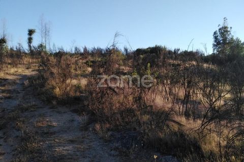 Helårsgrund i Sameice e Santa Eulalia, Guarda, Sameice e Santa Eulalia - € 30.000 | Ref: ZMPT559054 - foto 3