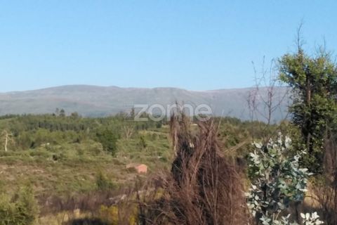 Helårsgrund i Sameice e Santa Eulalia, Guarda, Sameice e Santa Eulalia - € 30.000 | Ref: ZMPT559054 - foto 4