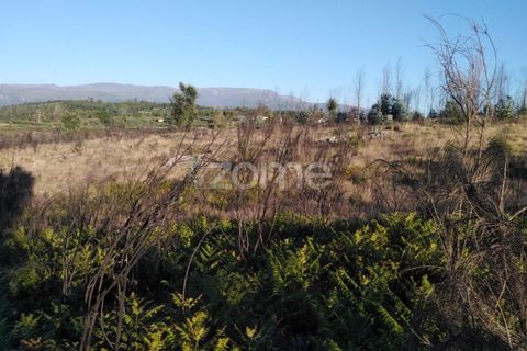 Helårsgrund i Sameice e Santa Eulalia, Guarda, Sameice e Santa Eulalia - € 30.000 | Ref: ZMPT559054 - foto 5