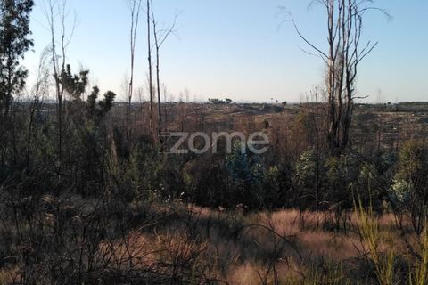 Helårsgrund i Sameice e Santa Eulalia, Guarda, Sameice e Santa Eulalia - € 30.000 | Ref: ZMPT559054 - foto 6