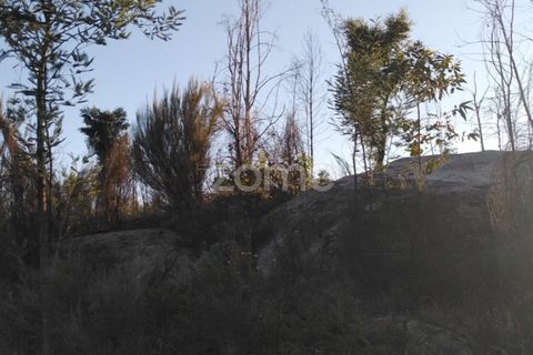 Helårsgrund i Sameice e Santa Eulalia, Guarda, Sameice e Santa Eulalia - € 30.000 | Ref: ZMPT559054 - foto 8