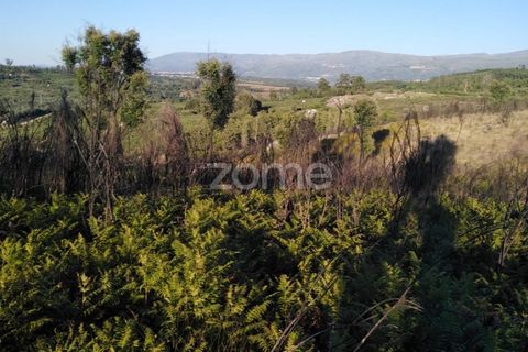 Helårsgrund i Sameice e Santa Eulalia, Guarda, Sameice e Santa Eulalia - € 30.000 | Ref: ZMPT559054 - foto 10