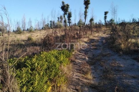 Helårsgrund i Sameice e Santa Eulalia, Guarda, Sameice e Santa Eulalia - € 30.000 | Ref: ZMPT559054 - foto 11