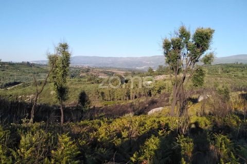 Helårsgrund i Sameice e Santa Eulalia, Guarda, Sameice e Santa Eulalia - € 30.000 | Ref: ZMPT559054 - foto 12