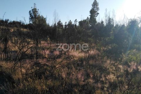 Helårsgrund i Sameice e Santa Eulalia, Guarda, Sameice e Santa Eulalia - € 30.000 | Ref: ZMPT559054 - foto 15