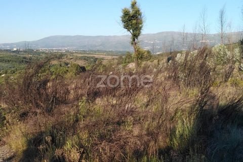 Helårsgrund i Sameice e Santa Eulalia, Guarda, Sameice e Santa Eulalia - € 30.000 | Ref: ZMPT559054 - foto 17