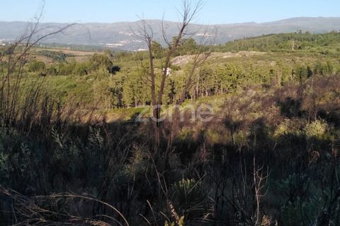 Helårsgrund i Sameice e Santa Eulalia, Guarda, Sameice e Santa Eulalia - € 30.000 | Ref: ZMPT559054 - foto 18