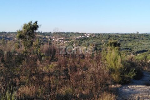 Helårsgrund i Sameice e Santa Eulalia, Guarda, Sameice e Santa Eulalia - € 30.000 | Ref: ZMPT559054 - foto 19