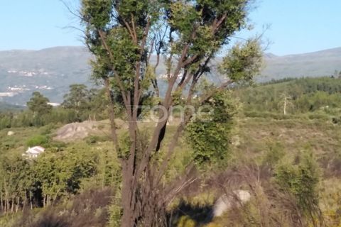 Helårsgrund i Sameice e Santa Eulalia, Guarda, Sameice e Santa Eulalia - € 30.000 | Ref: ZMPT559054 - foto 20