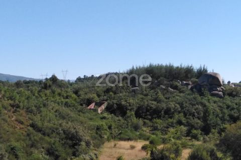 Terreno en Sameice e Santa Eulalia, Guarda, Sameice e Santa Eulalia - € 14.000 | Ref: ZMPT559060 - photo 11