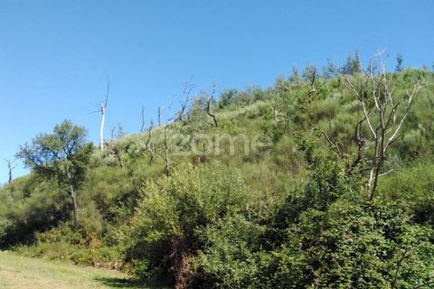 Terreno en Sameice e Santa Eulalia, Guarda, Sameice e Santa Eulalia - € 14.000 | Ref: ZMPT559060 - photo 13