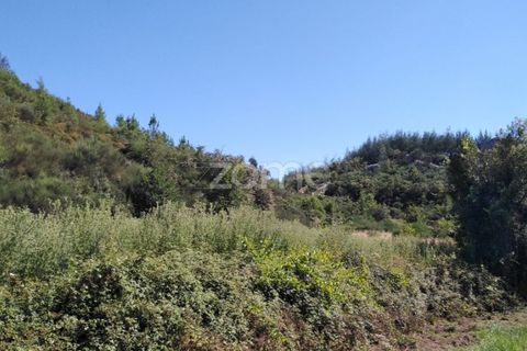 Terreno en Sameice e Santa Eulalia, Guarda, Sameice e Santa Eulalia - € 14.000 | Ref: ZMPT559060 - photo 14