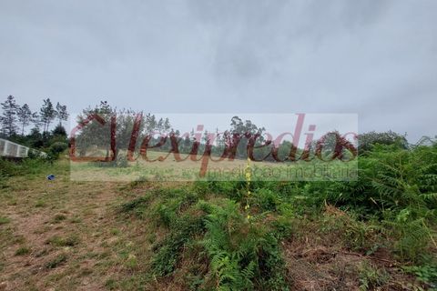 Helårsgrund i Agueda, Aveiro, Agueda - € 70.000 | Ref: AG 4202 - foto 3