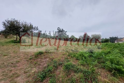 Helårsgrund i Agueda, Aveiro, Agueda - € 70.000 | Ref: AG 4202 - foto 4