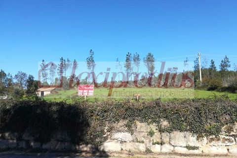 Helårsgrund i Agueda, Aveiro, Agueda - € 70.000 | Ref: AG 4202 - foto 5