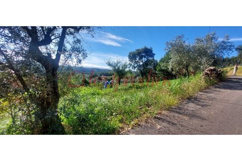 Helårsgrund i Agueda, Aveiro, Agueda - € 9.500 | Ref: AG 4003 - foto 1