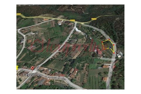 Helårsgrund i Agueda, Aveiro, Agueda - € 9.500 | Ref: AG 4003 - foto 4