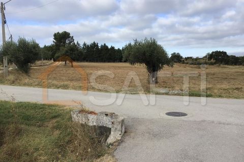 Helårsgrund i Tomar, Santarem, Tomar - € 19.900 | Ref: SAFTI:005711 - foto 2