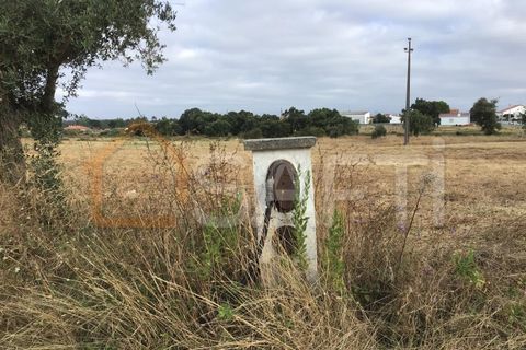 Helårsgrund i Tomar, Santarem, Tomar - € 19.900 | Ref: SAFTI:005711 - foto 3