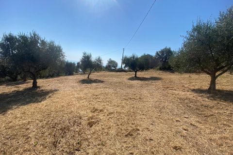 Byhus i Silvi, Teramo, Silvi - € 165.000 | Ref: PE-9074 - foto 16