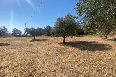 Byhus i Silvi, Teramo, Silvi - € 165.000 | Ref: PE-9074 - foto 17