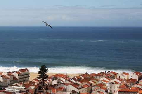 Villa a Nazare, Leiria, Nazare - € 1.225.000 | Ref: IMO-767 - foto 19