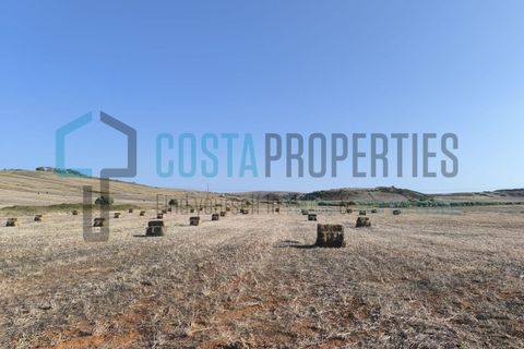 Helårsgrund i Sagres, Faro, Sagres - € 58.500 | Ref: CP-T2441 - foto 3