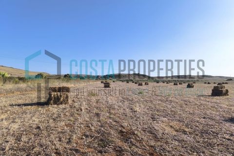 Helårsgrund i Sagres, Faro, Sagres - € 58.500 | Ref: CP-T2441 - foto 9