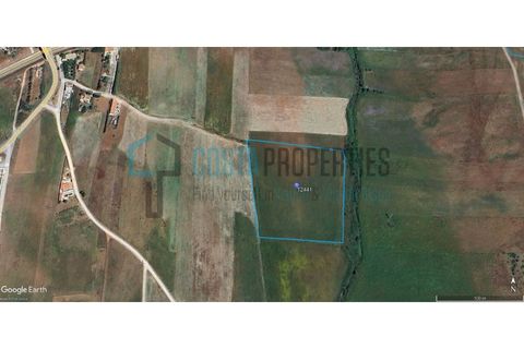 Helårsgrund i Sagres, Faro, Sagres - € 58.500 | Ref: CP-T2441 - foto 11