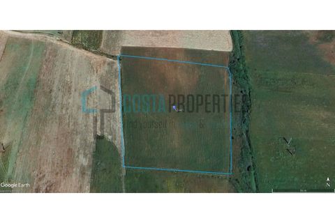 Helårsgrund i Sagres, Faro, Sagres - € 58.500 | Ref: CP-T2441 - foto 13