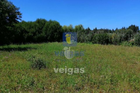 Terra a Batalha, Leiria, Batalha - € 87.500 | Ref: LIZ-210251 - foto 2