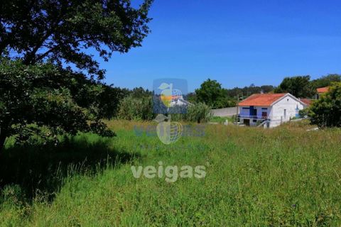 Terra a Batalha, Leiria, Batalha - € 87.500 | Ref: LIZ-210251 - foto 3