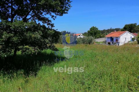 Terra a Batalha, Leiria, Batalha - € 87.500 | Ref: LIZ-210251 - foto 4