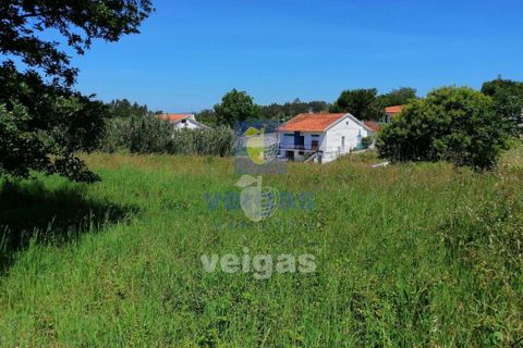 Terra a Batalha, Leiria, Batalha - € 87.500 | Ref: LIZ-210251 - foto 5