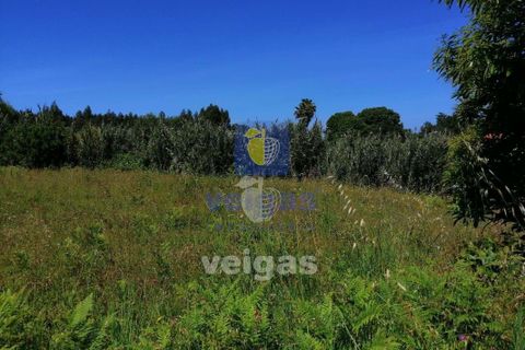Terra a Batalha, Leiria, Batalha - € 87.500 | Ref: LIZ-210251 - foto 6