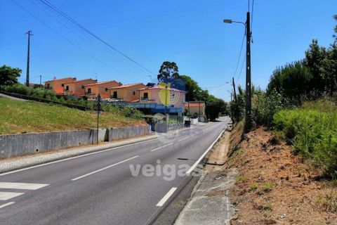 Terra a Batalha, Leiria, Batalha - € 87.500 | Ref: LIZ-210251 - foto 10