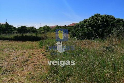 Helårsgrund i Parceiros e Azoia, Leiria, Parceiros e Azoia - € 60.000 | Ref: LIZ-214929 - foto 1