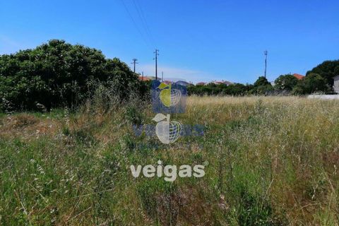 Helårsgrund i Parceiros e Azoia, Leiria, Parceiros e Azoia - € 60.000 | Ref: LIZ-214929 - foto 2