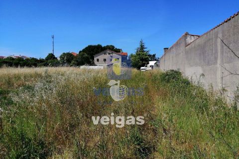 Helårsgrund i Parceiros e Azoia, Leiria, Parceiros e Azoia - € 60.000 | Ref: LIZ-214929 - foto 3