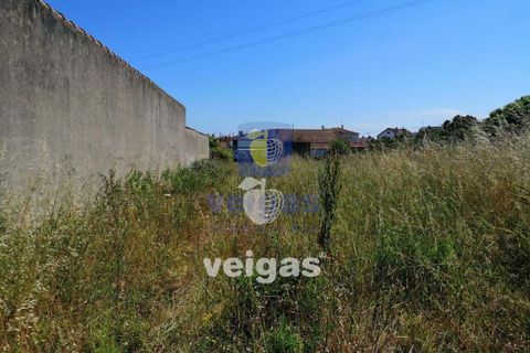 Helårsgrund i Parceiros e Azoia, Leiria, Parceiros e Azoia - € 60.000 | Ref: LIZ-214929 - foto 4