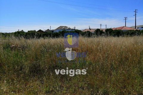 Helårsgrund i Parceiros e Azoia, Leiria, Parceiros e Azoia - € 60.000 | Ref: LIZ-214929 - foto 5