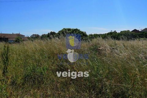 Helårsgrund i Parceiros e Azoia, Leiria, Parceiros e Azoia - € 60.000 | Ref: LIZ-214929 - foto 6