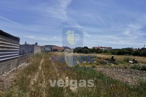 Helårsgrund i Parceiros e Azoia, Leiria, Parceiros e Azoia - € 60.000 | Ref: LIZ-214929 - foto 7